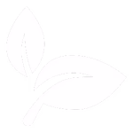 2 a0610663 8d07 481b a7d6 611957bce